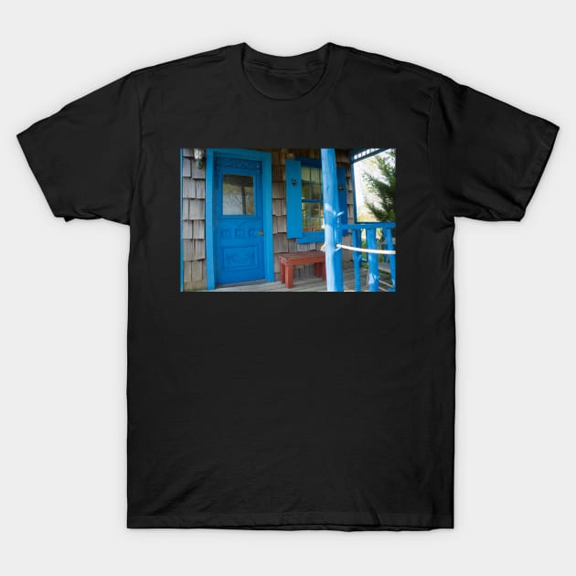 blue door T-Shirt by sma1050